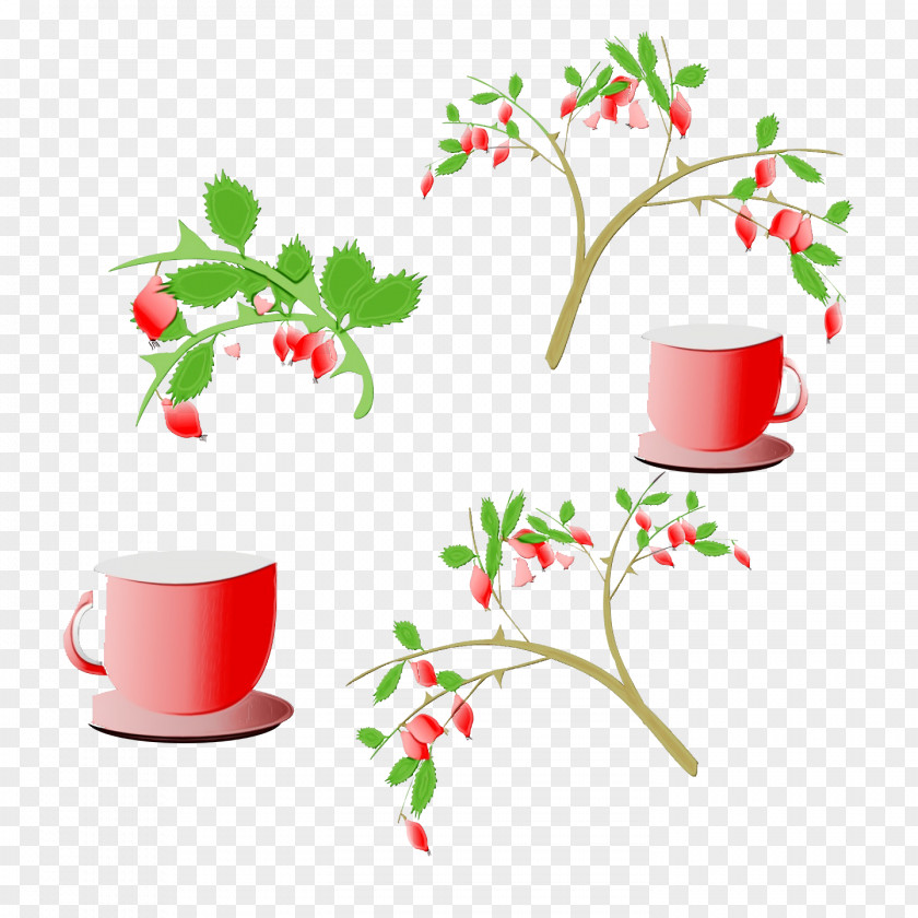 Coffee Cup PNG