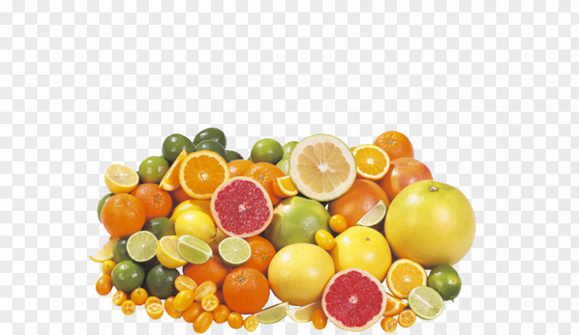 Lemon Orange Grapefruit Limoncello PNG