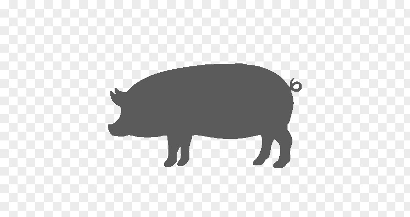 Livestock Boar Pig Cartoon PNG