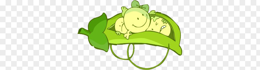 Pea Cartoon Soybean Illustration PNG