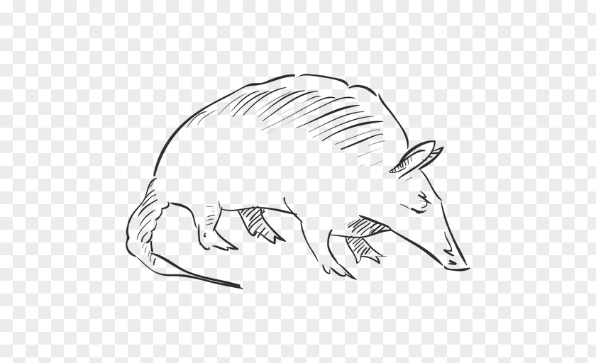 Rat Drawing Praying Hands Pencil Clip Art PNG