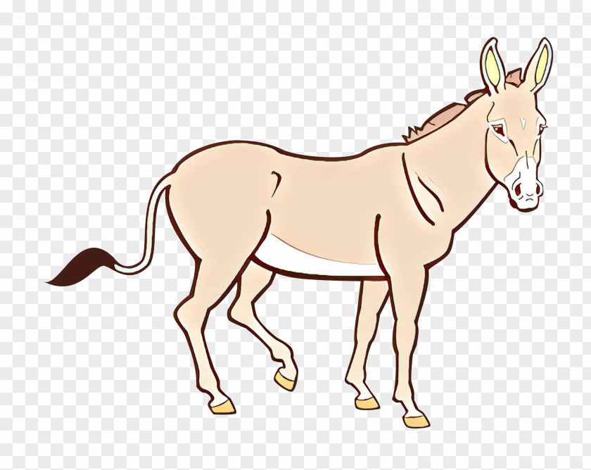 Donkey Mule Drawing Horse PNG