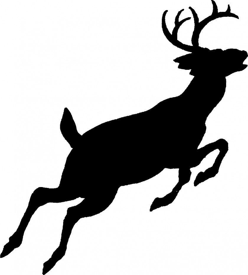 Free Deer Pictures White-tailed Silhouette Red Clip Art PNG