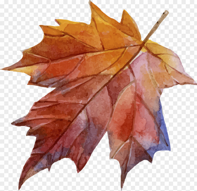 Leaf Paper Autumn Drawing PNG