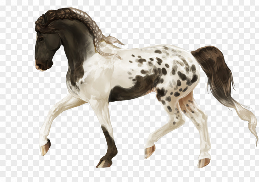 Leopard Skin Design Stallion Mustang Foal Colt Mare PNG