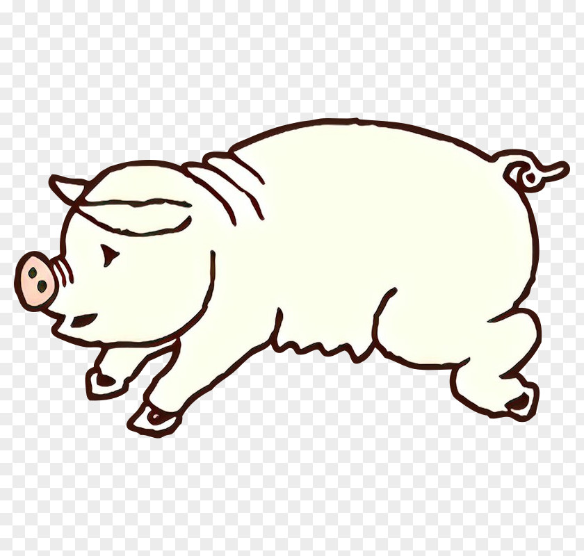 Line Art Suidae Snout Boar Wildlife PNG