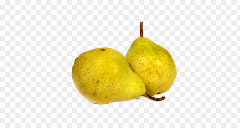 Pear Pyrus Nivalis Food Fruit PNG