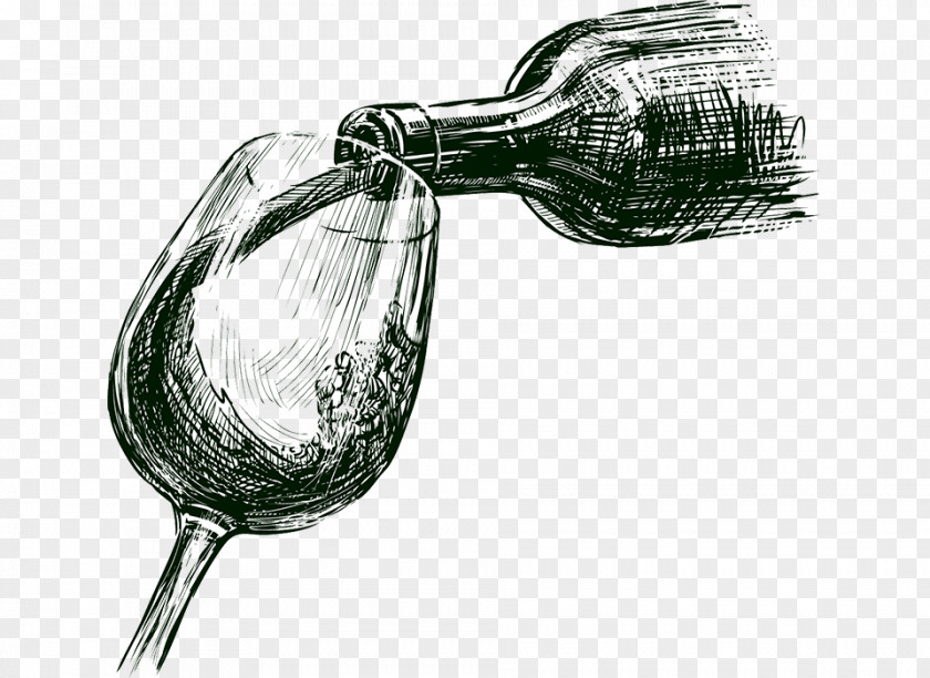 Sketch Winemaking Common Grape Vine Wine Glass PNG
