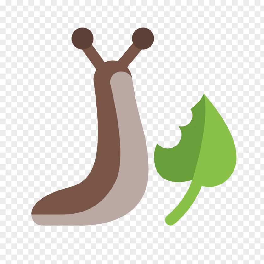 Snail Slug Gastropods PNG