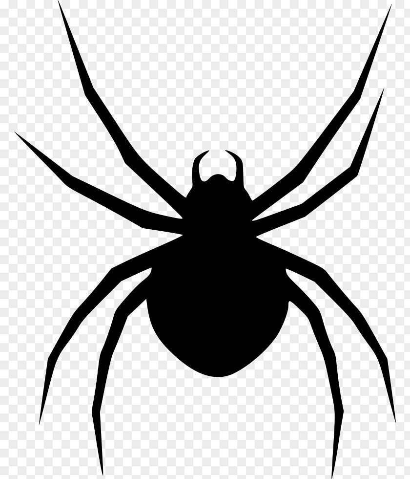 Spider Armed Spiders Southern Black Widow Latrodectus Hesperus PNG