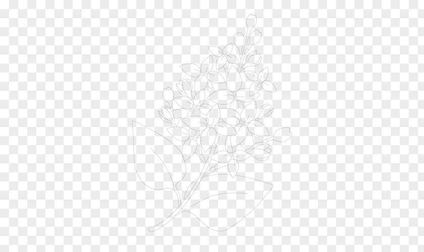 Lilac Flower How To Draw: Drawing And Sketching Objects Environments From Your Imagination Visual Arts DeviantArt PNG
