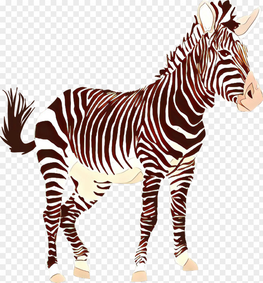 Mane Snout Zebra Cartoon PNG