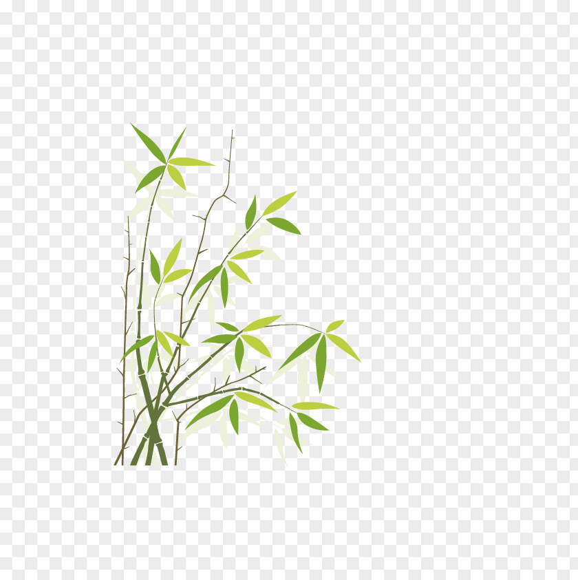 Vector Bamboo Royalty-free Stock Photography Illustration PNG