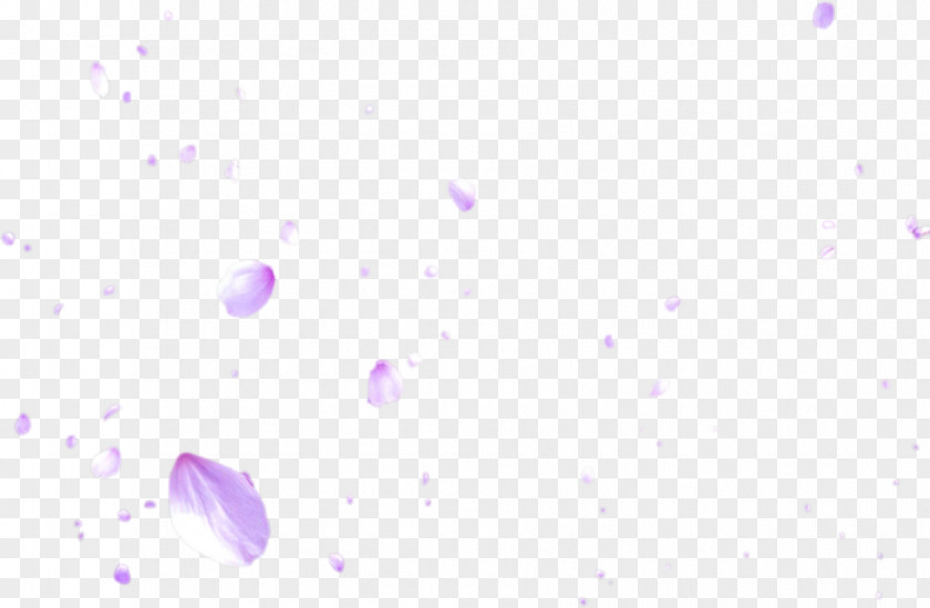 Cherry Blossom Petals Lavender Blue Lilac Violet Magenta PNG