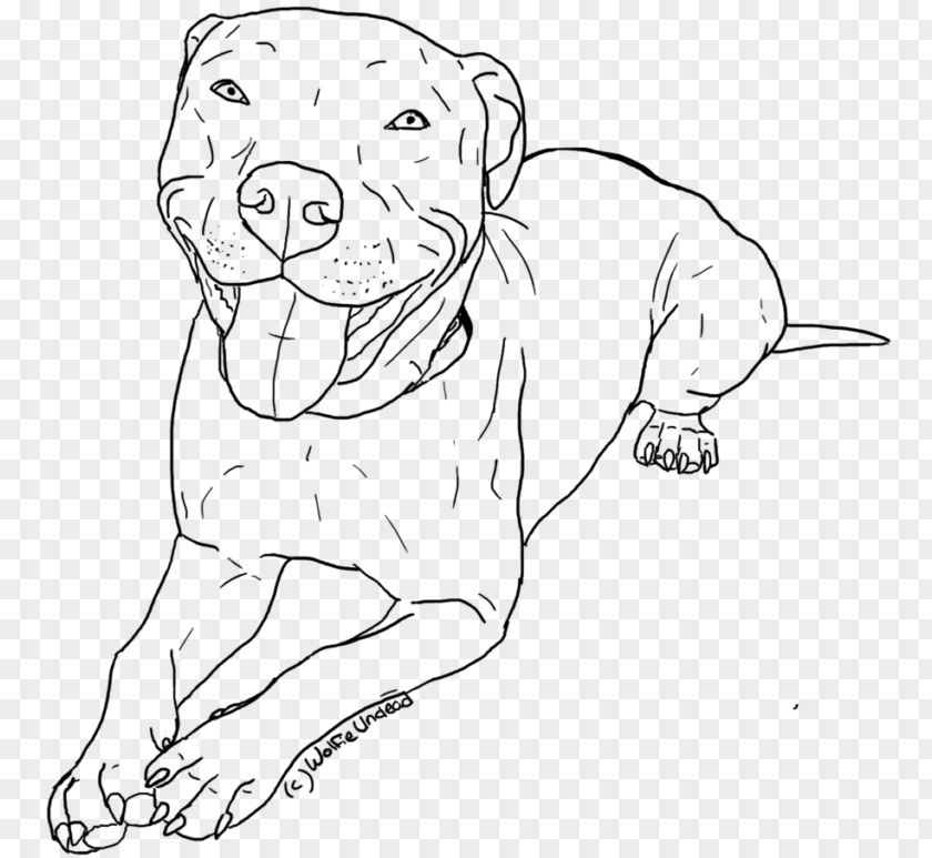 Child American Pit Bull Terrier Coloring Book Drawing PNG