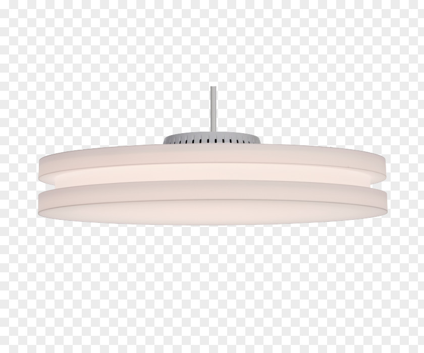Elongated Dodecahedron Ceiling Light Fixture PNG