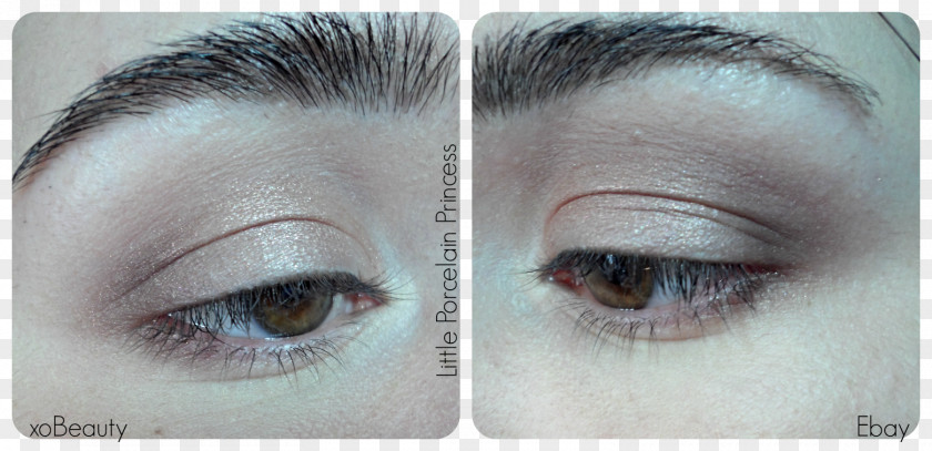 Eyelash Brush Extensions Eye Shadow Cosmetics Beauty PNG