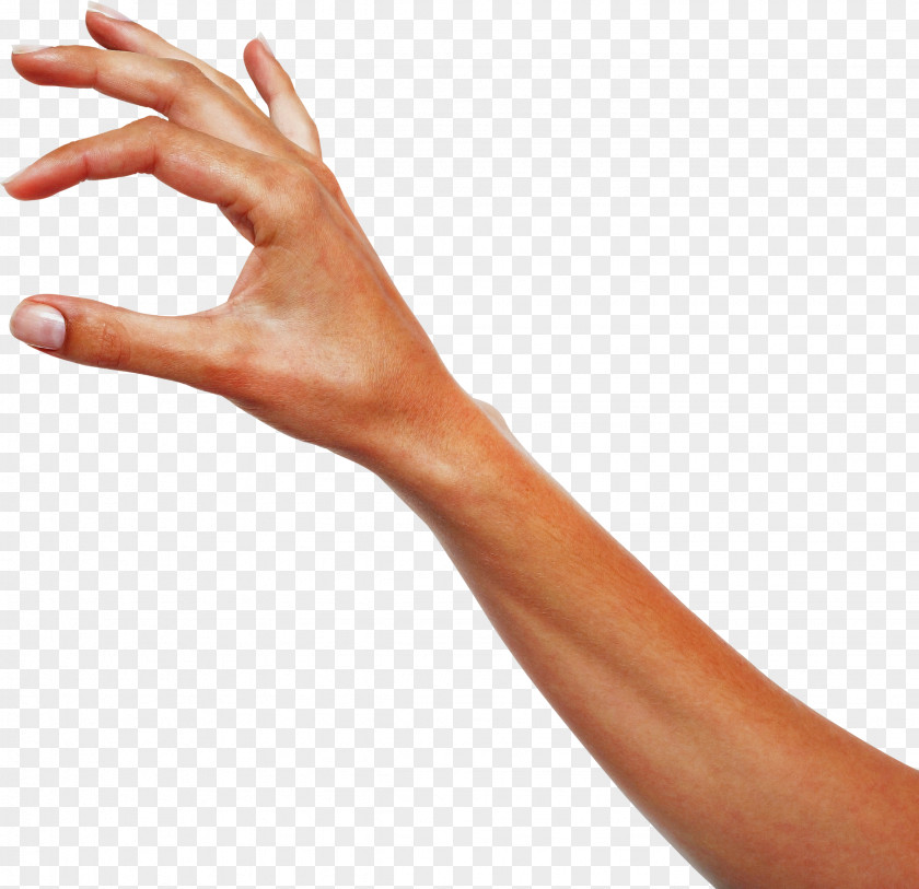 Finger Hand Arm Skin Joint PNG