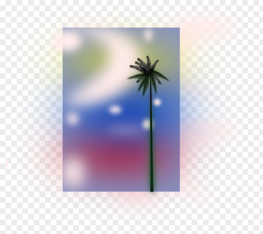 Palm Beach Clip Art PNG