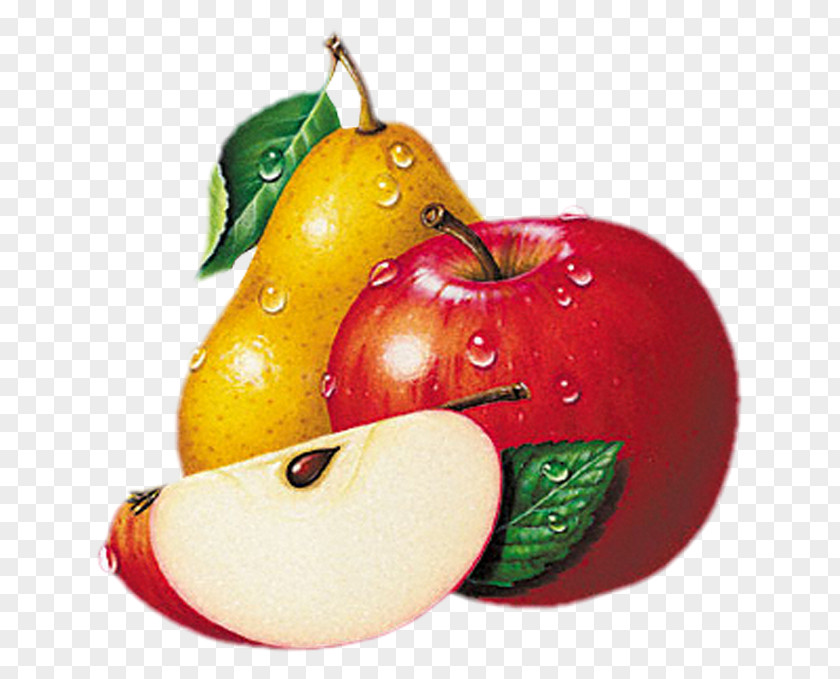 Vegetable Fruit Apple Clip Art PNG