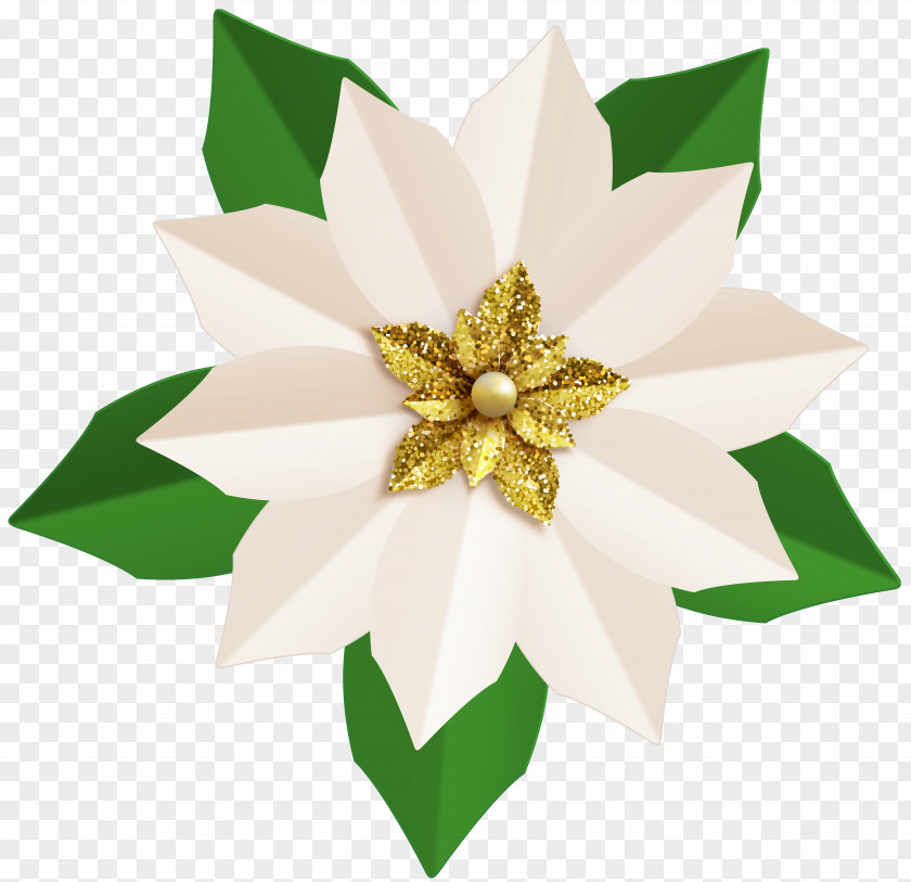 Christmas White Poinsettia Clip Art Image PNG