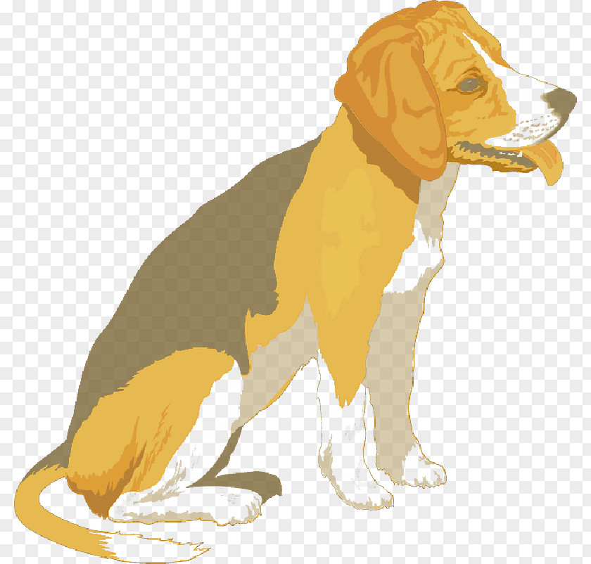 Fur Clip Art Beagle Border Collie Puppy Vector Graphics PNG