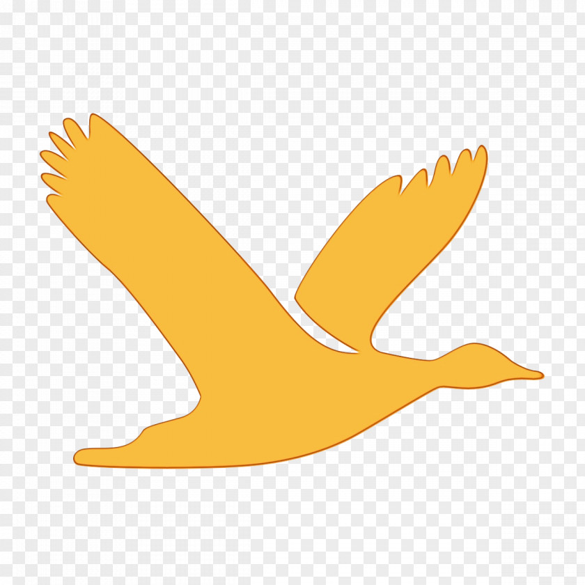 Goose Water Bird Wing Yellow Beak Logo PNG