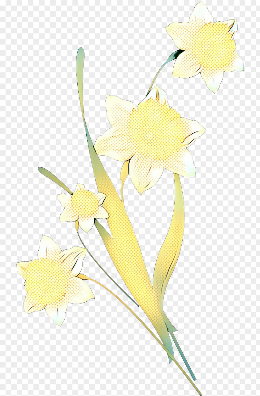 Iris Amaryllis Family Pop Art Retro Vintage PNG