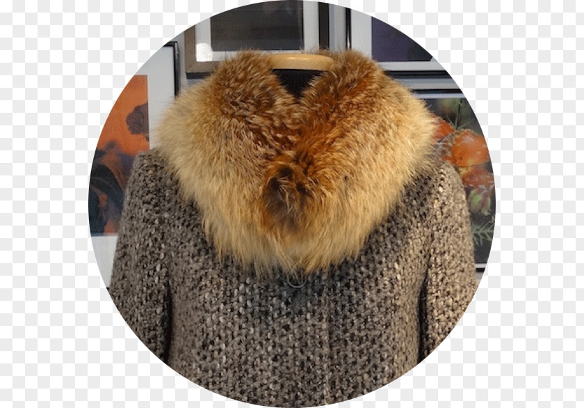 Jacket Fur Wool Hood .ch PNG