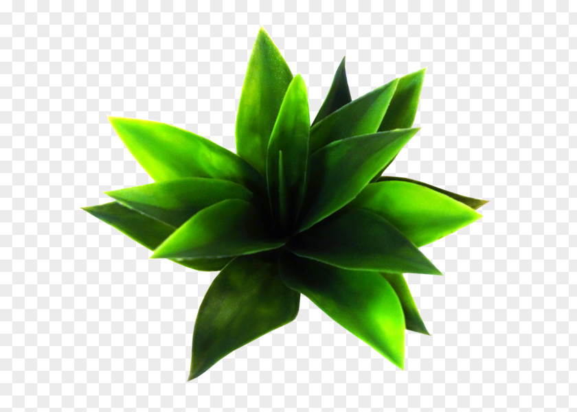 Leaf INAV DBX MSCI AC WORLD SF Agave PNG