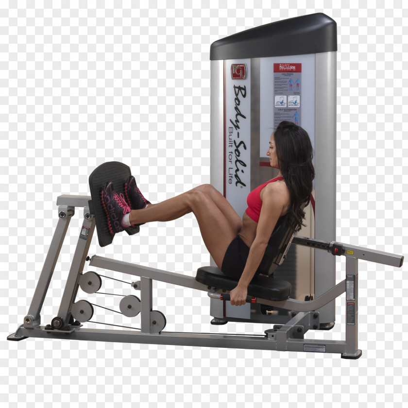 Leg Press Calf Raises Overhead Row PNG press raises Row, others clipart PNG