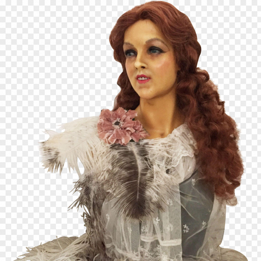 Mannequin Feather Boa Wig Fur Long Hair PNG