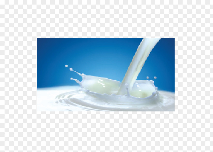 Milk A2 Dairy Products PNG