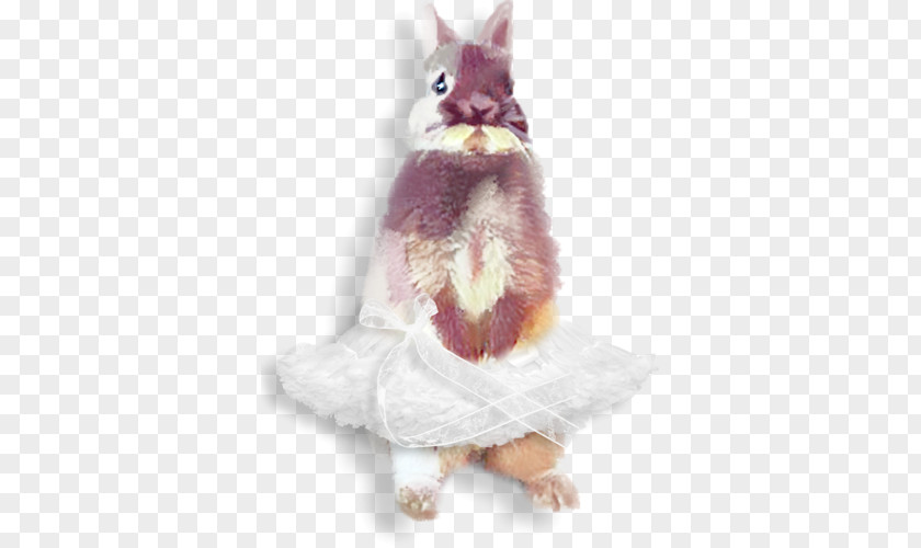 Rabbit Domestic Easter Bunny PNG