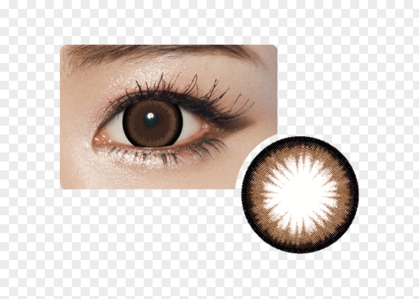 Eye Circle Contact Lens Lenses Brown PNG