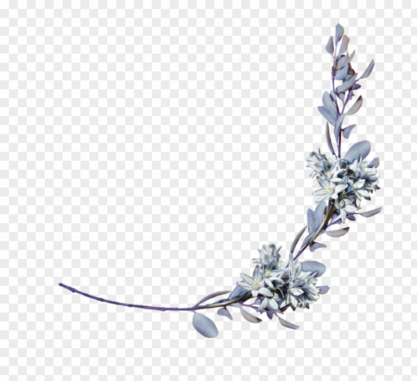 Lavender Laurel Wreath Bay Branch PNG