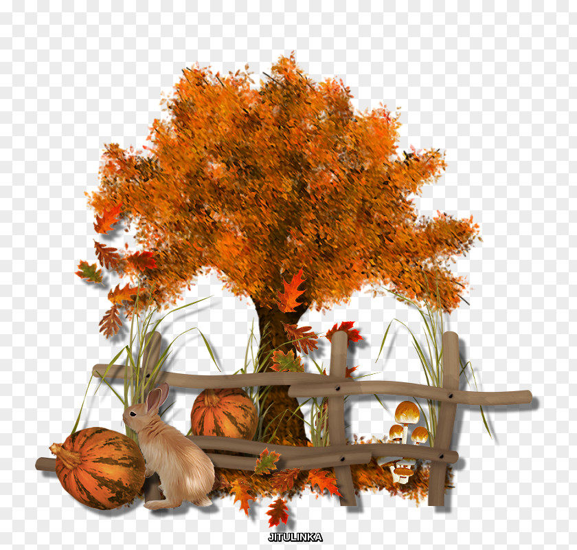 Autumn Twig Tree Clip Art PNG