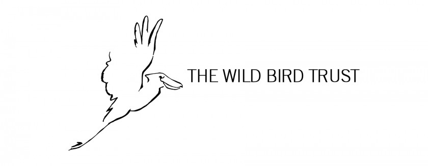 Bird Logo Vector. Finger White Line Art Font PNG