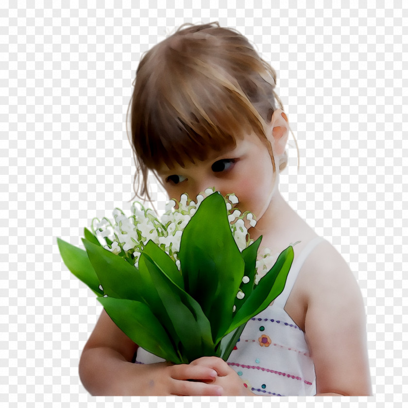 Flower Olfaction Facebook Leaf PNG