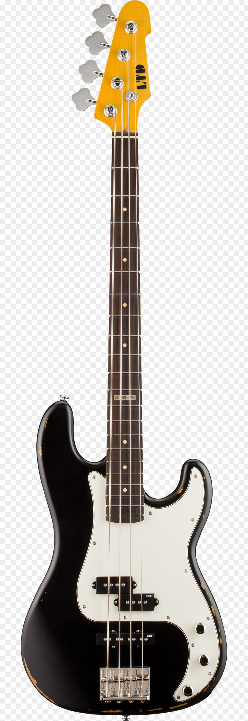 Guitar Fender Precision Bass Stratocaster Jazz Squier PNG