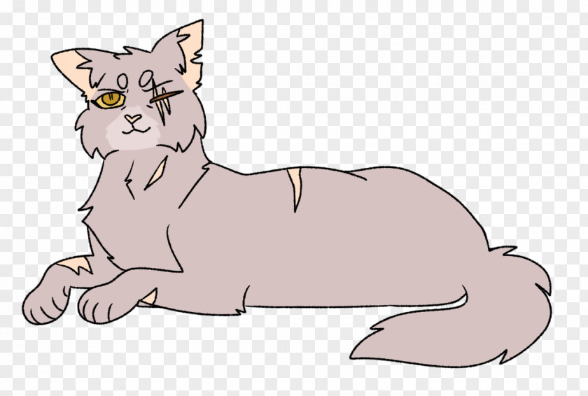 Kitten Whiskers Cat Dog Warriors PNG