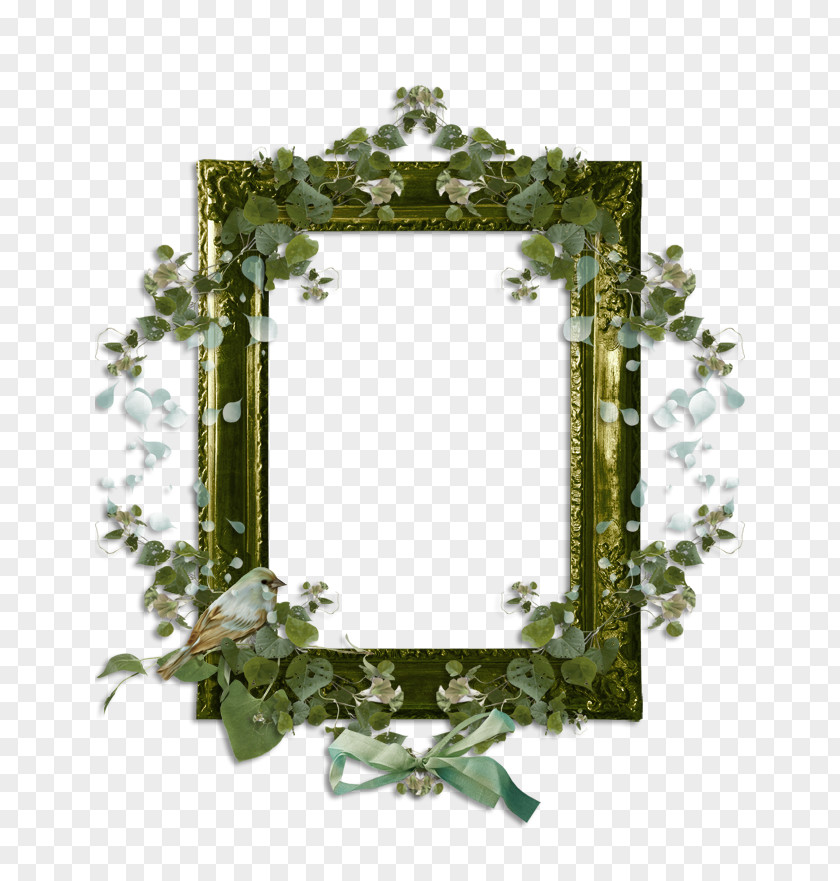 Photo Frames Picture Animaatio Clip Art PNG