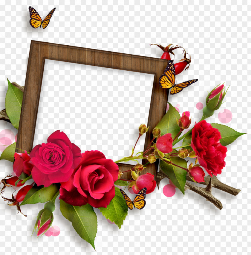 Rose Frame Picture Frames Flower Clip Art PNG