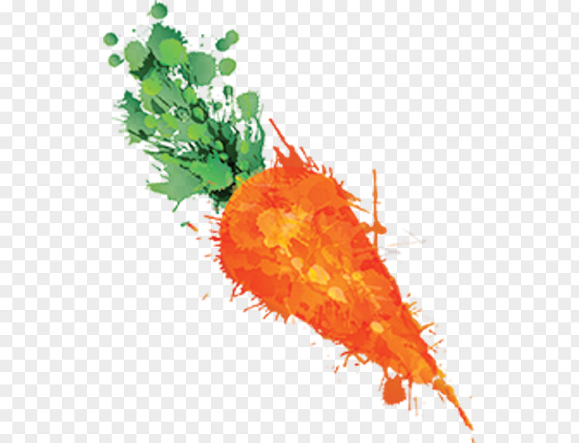 Carrots Cumbria Carrot Matey Boy Vegetable Writing PNG