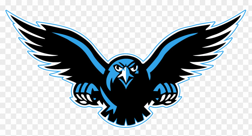Falcon Transparent Background Student Northwest High School Fort Miller Middle National Secondary PNG