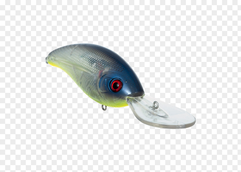 Fish Fishing Baits & Lures .cf PNG