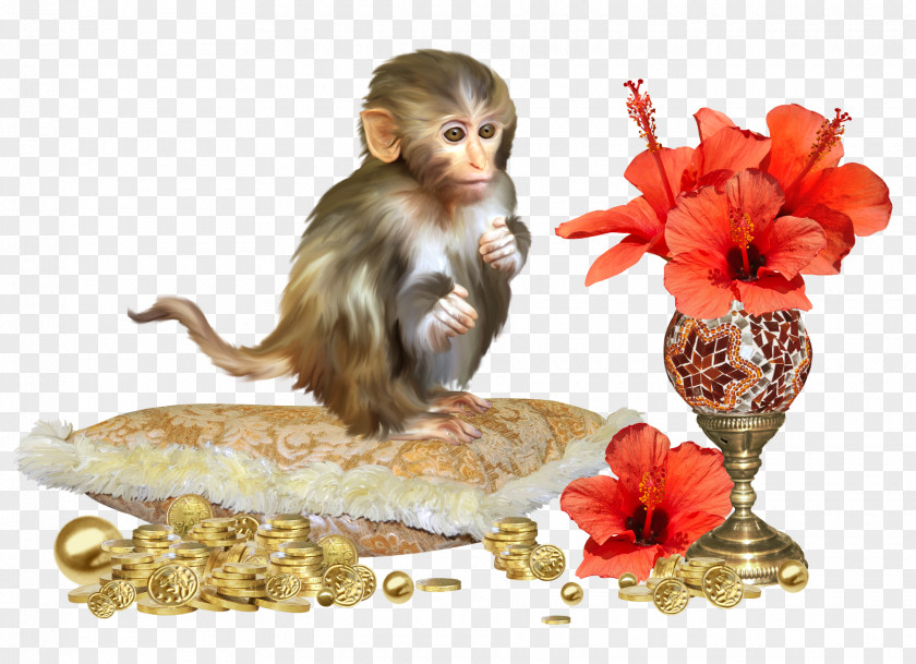 Monkey Flower Photography Clip Art PNG
