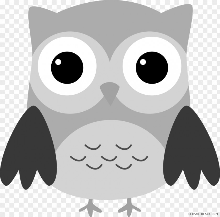 Owl Bird Clip Art Illustration Image PNG