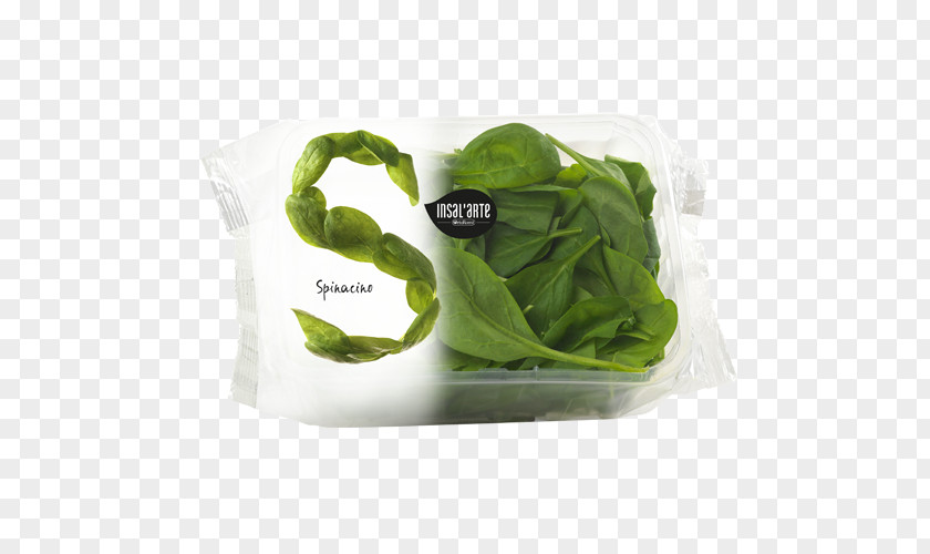 Salad Spinach Packaging And Labeling Design Food PNG