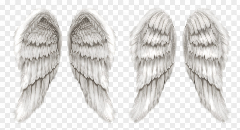 Angel Wing God Clip Art PNG